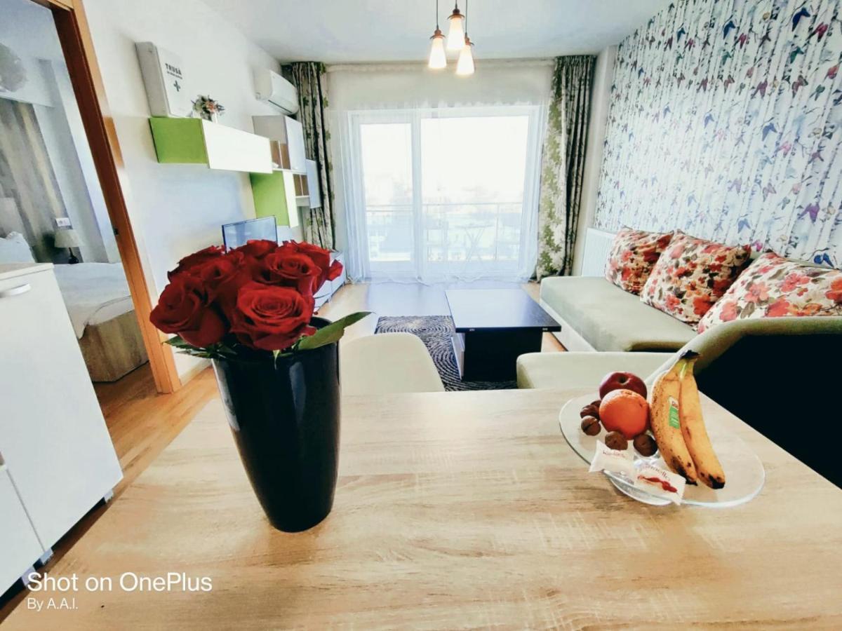 Red Hotel Accommodation 클루지나포카 외부 사진
